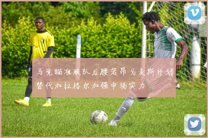 马竞瞄准狼队后腰若昂戈麦斯计划替代加拉格尔加强中场实力